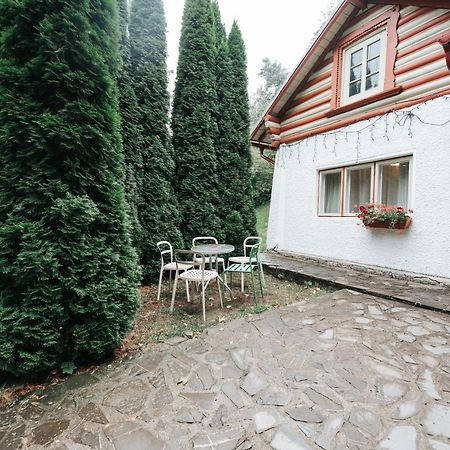 Vila Camelia Sinaia Esterno foto