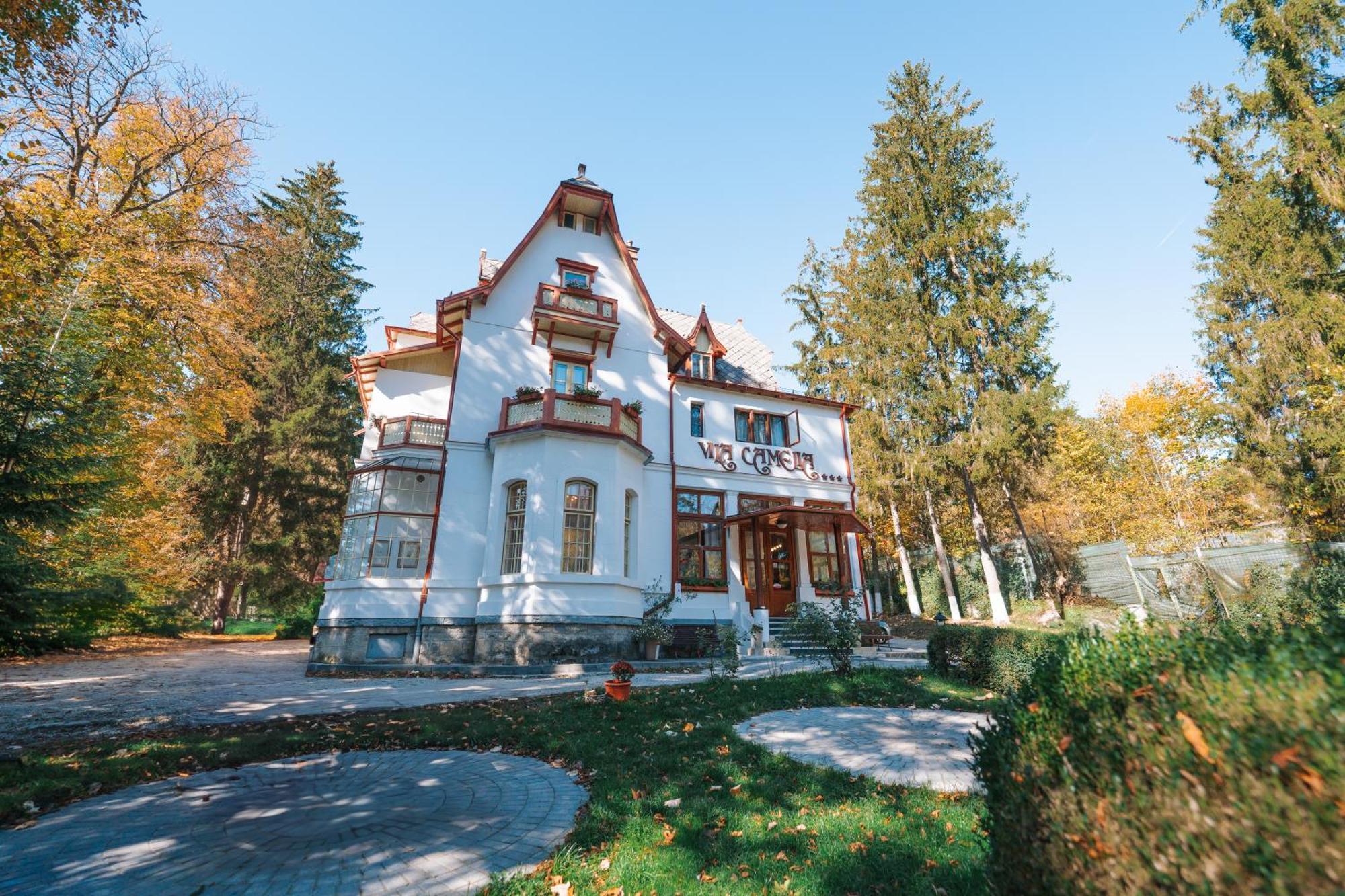 Vila Camelia Sinaia Esterno foto