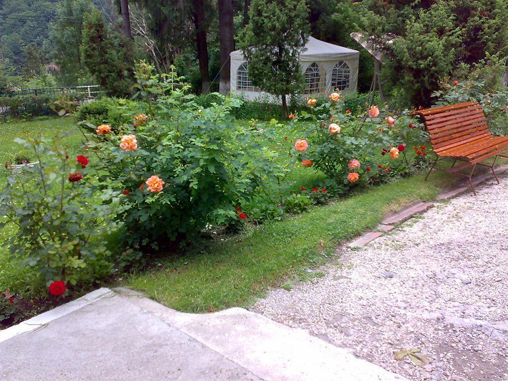 Vila Camelia Sinaia Esterno foto
