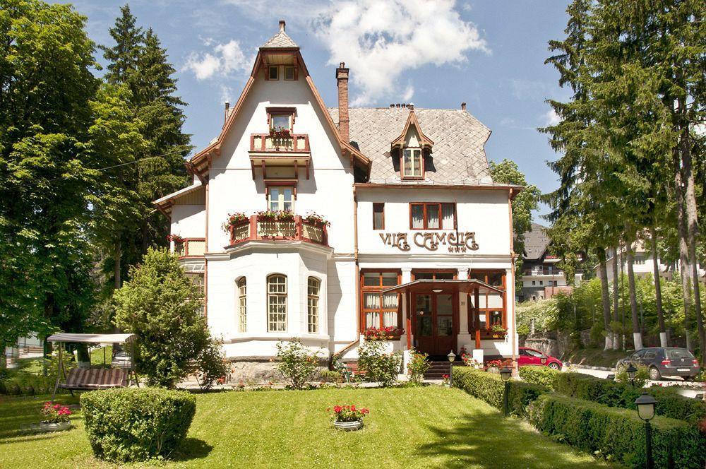 Vila Camelia Sinaia Esterno foto