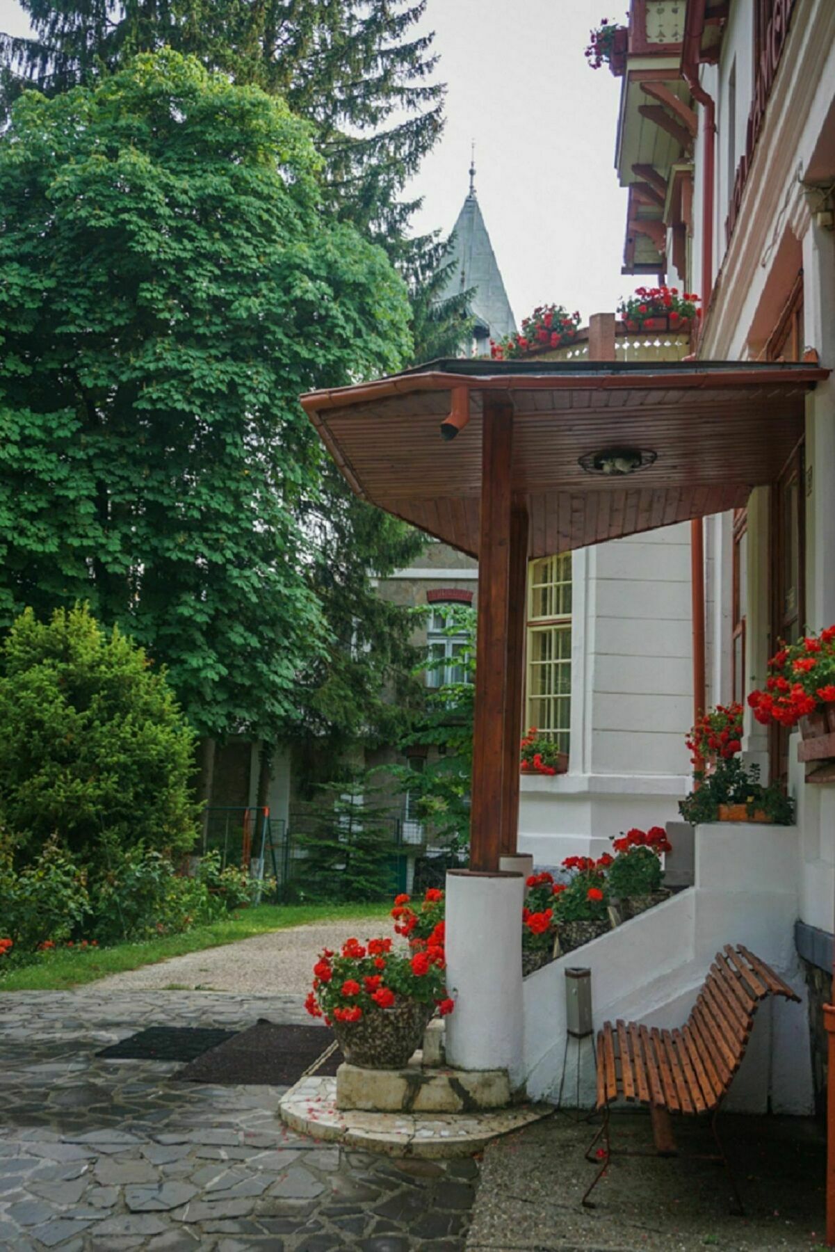 Vila Camelia Sinaia Esterno foto